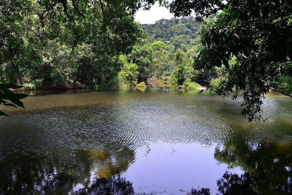 River Near Coorg Jambur Kültér fotó